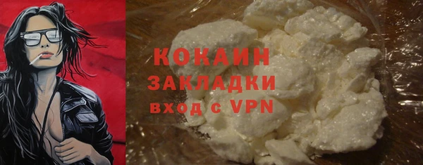 стаф Дмитриев