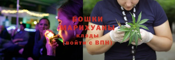 стаф Дмитриев