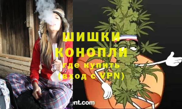дживик Дмитров