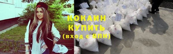 стаф Дмитриев