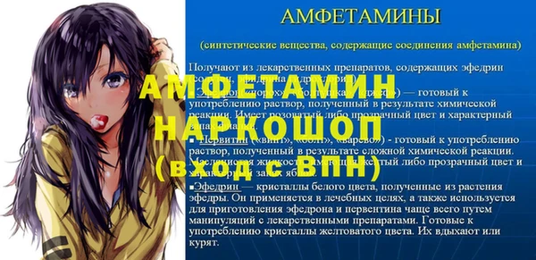 стаф Дмитриев